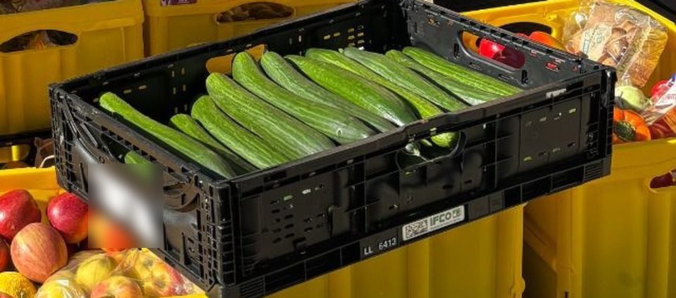 Kisten mit gerettetem Gemüse und Obst, darunter Gurken und Äpfel